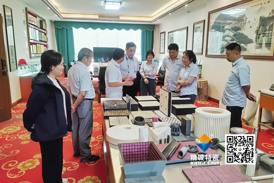 清华大学潘伟教授到访mg冰球突破特瓷