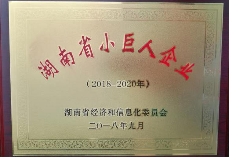 mg冰球突破·豪华版(试玩)官方网站