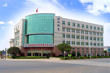 mg冰球突破·豪华版(试玩)官方网站